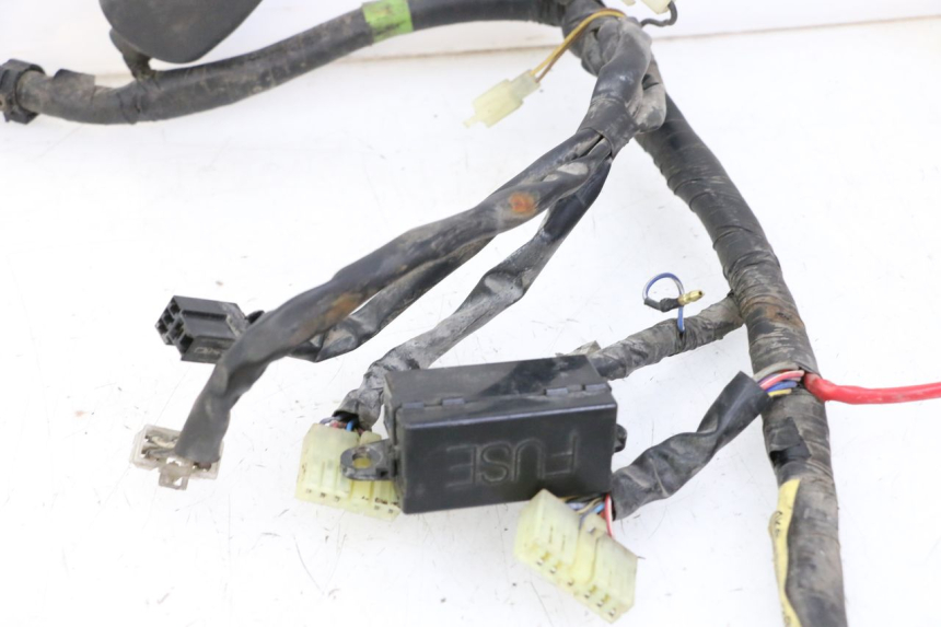 photo de FAISCEAU YAMAHA XJN DIVERSION 600 (2000 - 2003)