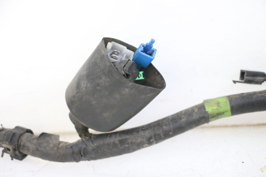 photo de FAISCEAU YAMAHA XJN DIVERSION 600 (2000 - 2003)