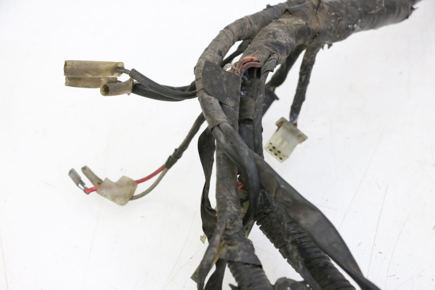 photo de FAISCEAU YAMAHA XJN DIVERSION 600 (2000 - 2003)