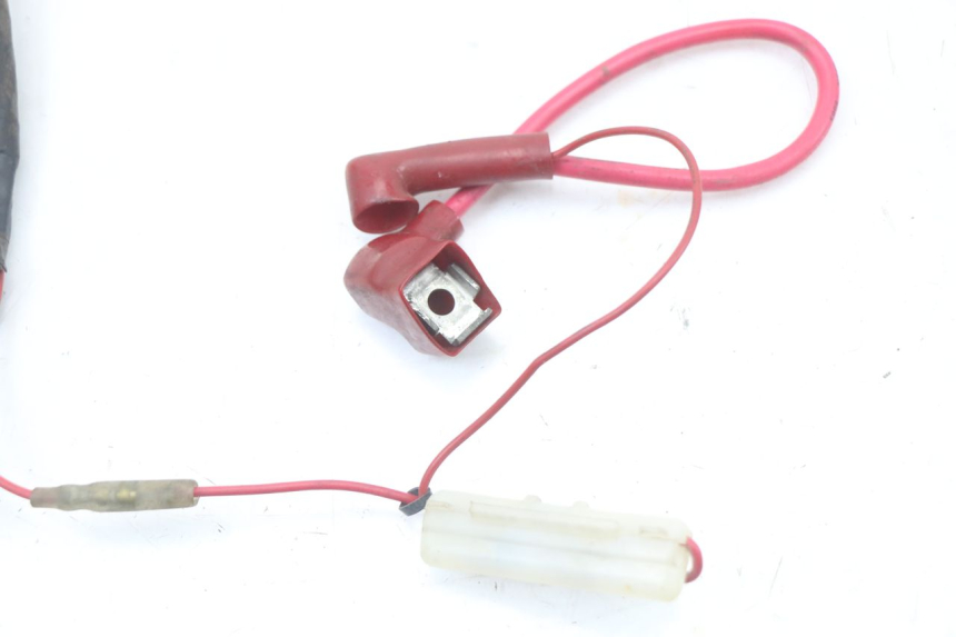 photo de Harness HYOSUNG XRX 125 (2000 - 2008)
