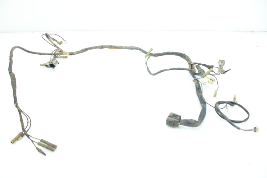 photo de FAISCEAU YAMAHA BLASTER 200 (2003 - 2007)