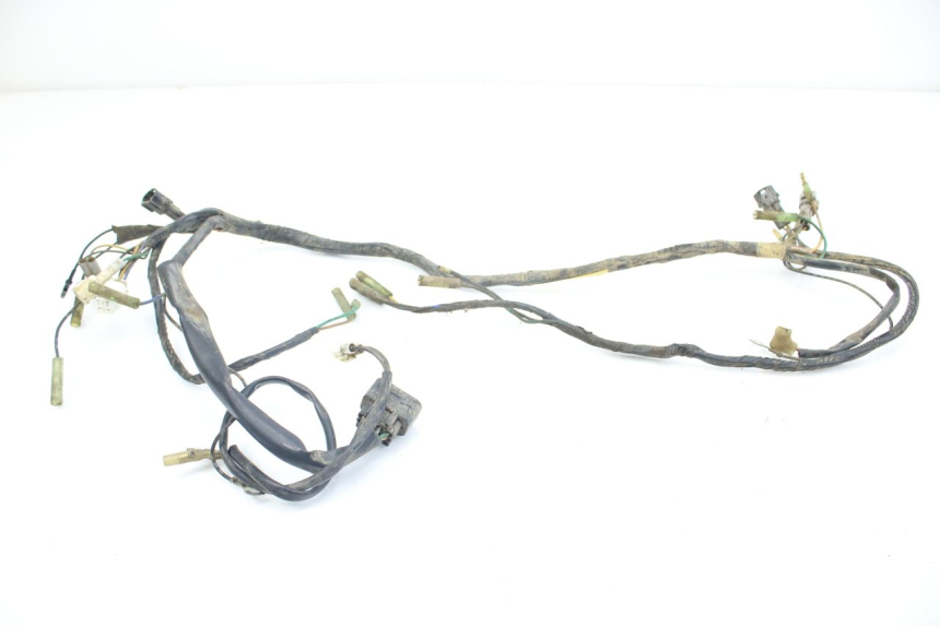 photo de FAISCEAU YAMAHA BLASTER 200 (2003 - 2007)