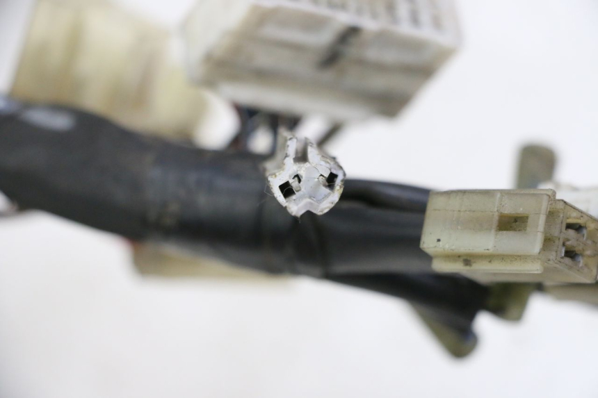 photo de FAISCEAU YAMAHA FZ6 FAZER S2 600 (2007 - 2011)