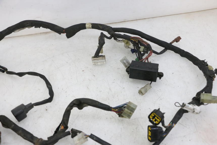 photo de FAISCEAU YAMAHA FZS FAZER 600 (2001 - 2003)