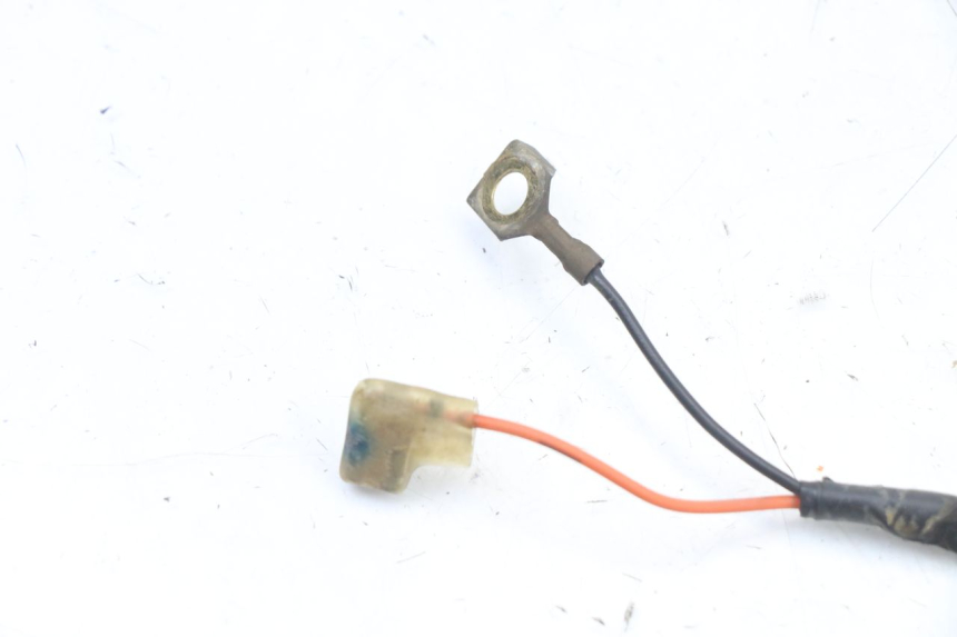 photo de FAISCEAU YAMAHA TTR 125 (2000 - 2020)