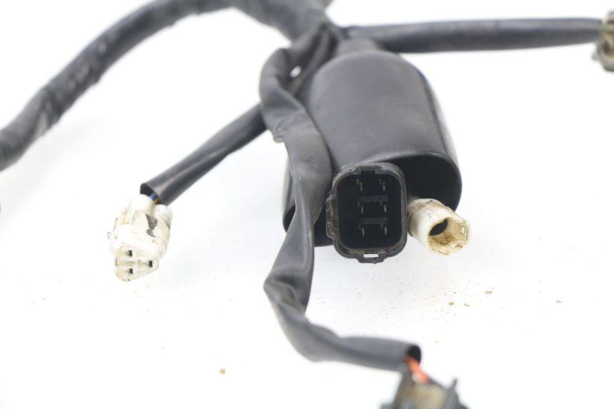 photo de FAISCEAU YAMAHA WR-F WRF 250 (2007 - 2011)