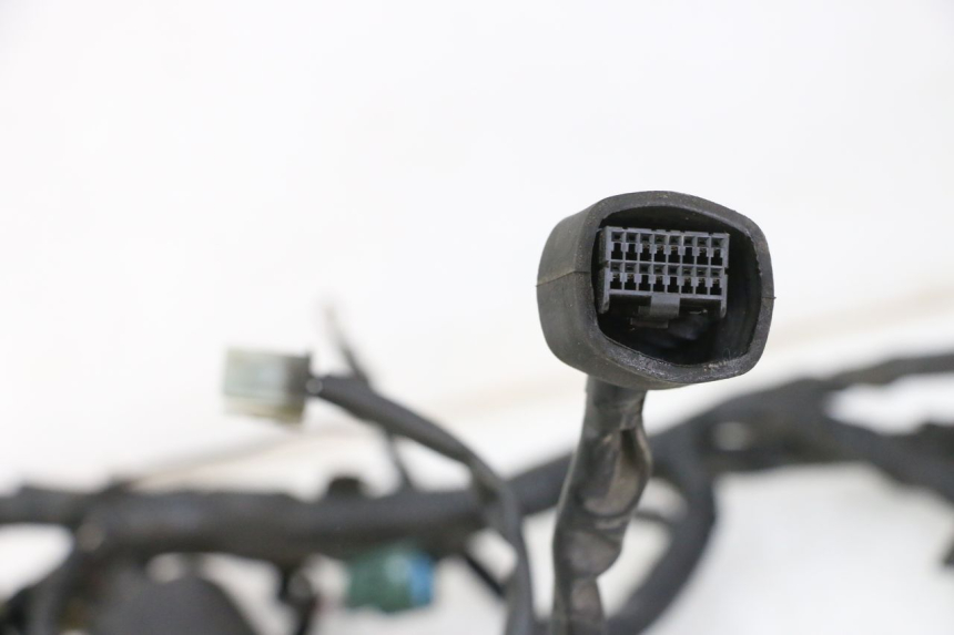 photo de FAISCEAU YAMAHA XJ6 ABS 600 (2008 - 2016)