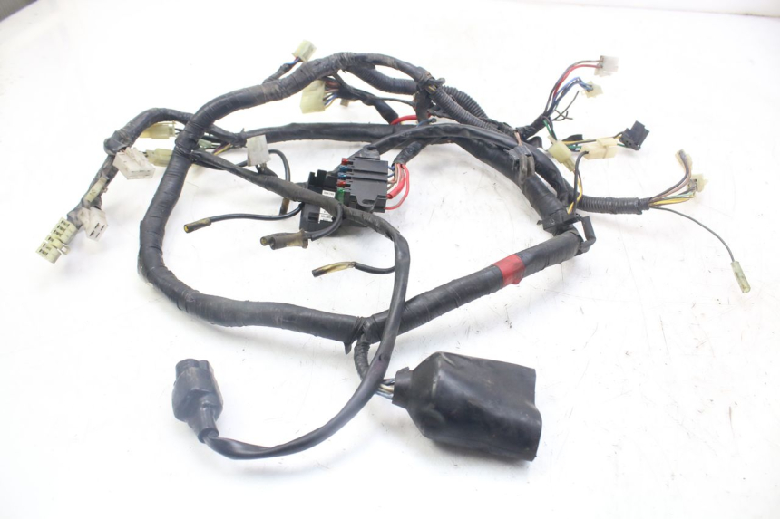 photo de FAISCEAU YAMAHA XJN DIVERSION 600 (2000 - 2003)