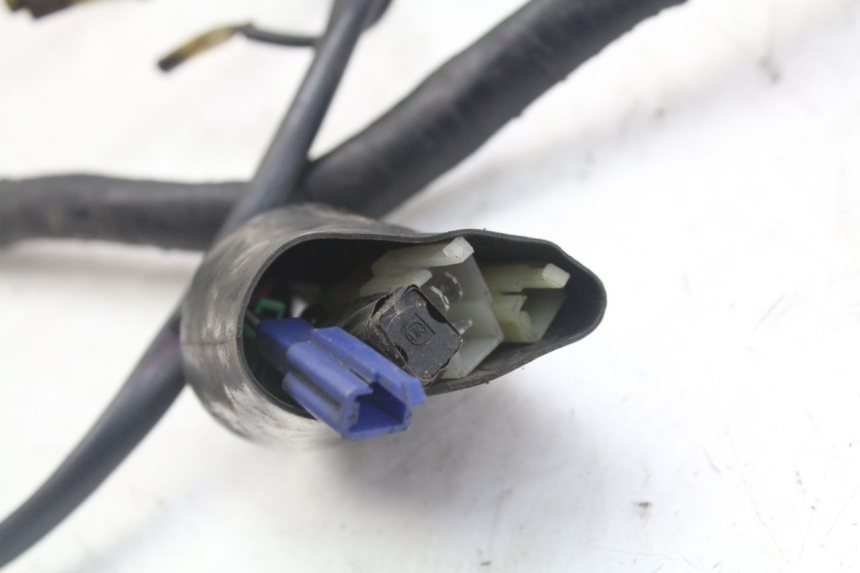 photo de FAISCEAU YAMAHA XJN DIVERSION 600 (2000 - 2003)
