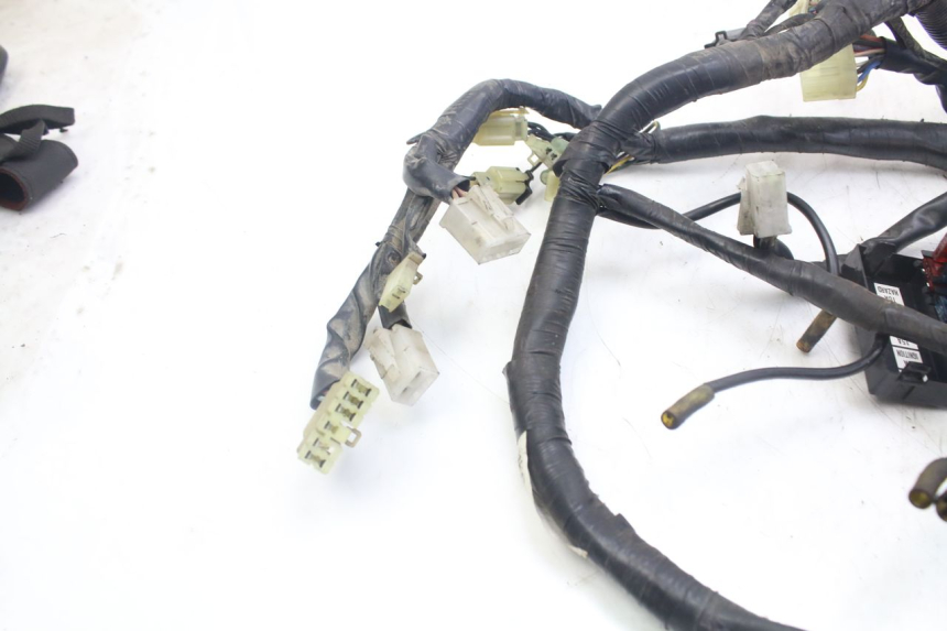 photo de FAISCEAU YAMAHA XJN DIVERSION 600 (2000 - 2003)