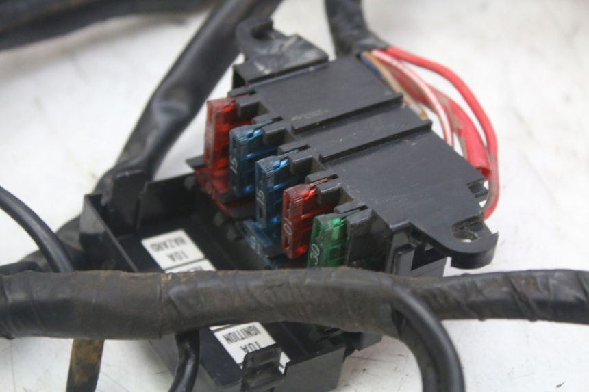 photo de FAISCEAU YAMAHA XJN DIVERSION 600 (2000 - 2003)