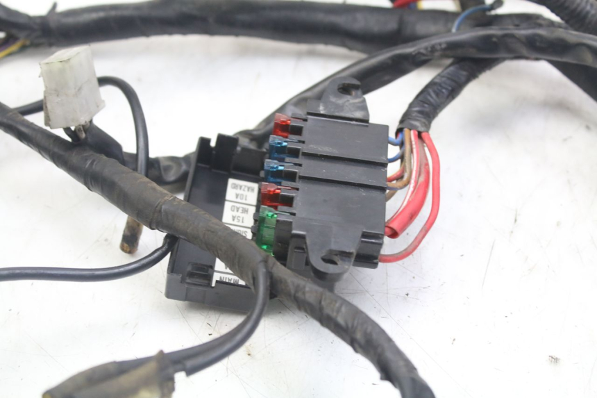 photo de FAISCEAU YAMAHA XJN DIVERSION 600 (2000 - 2003)
