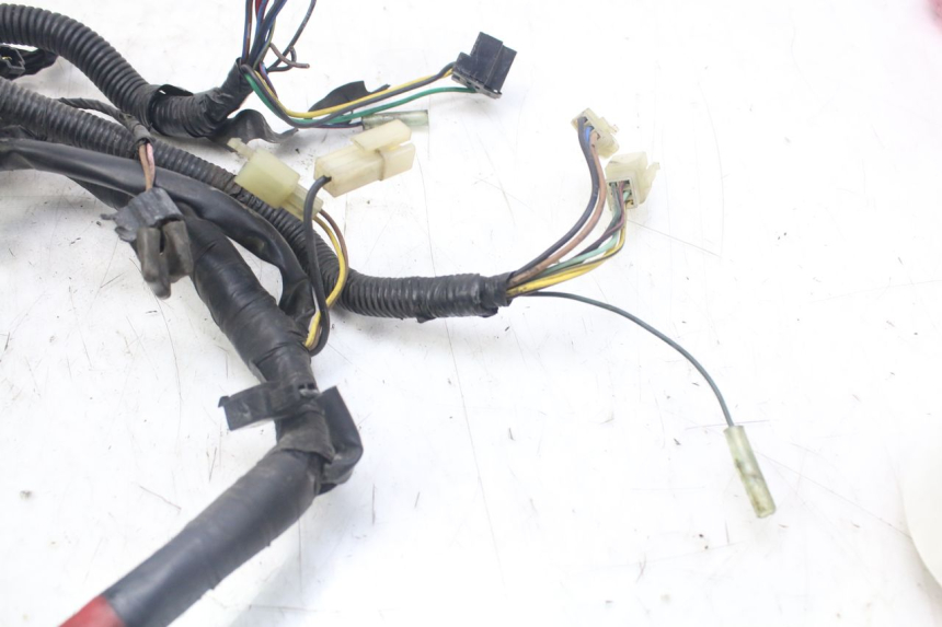photo de FAISCEAU YAMAHA XJN DIVERSION 600 (2000 - 2003)