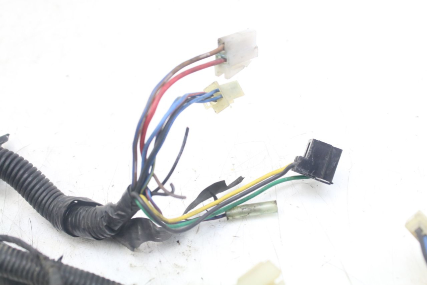 photo de FAISCEAU YAMAHA XJN DIVERSION 600 (2000 - 2003)
