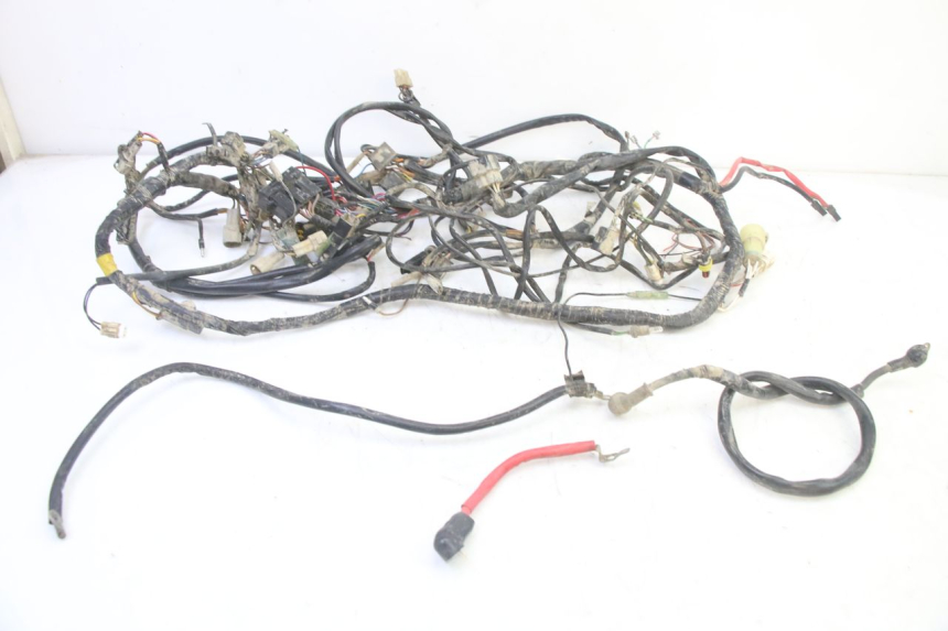 photo de FAISCEAU YAMAHA YFM BRUIN 350 (2003 - 2009)