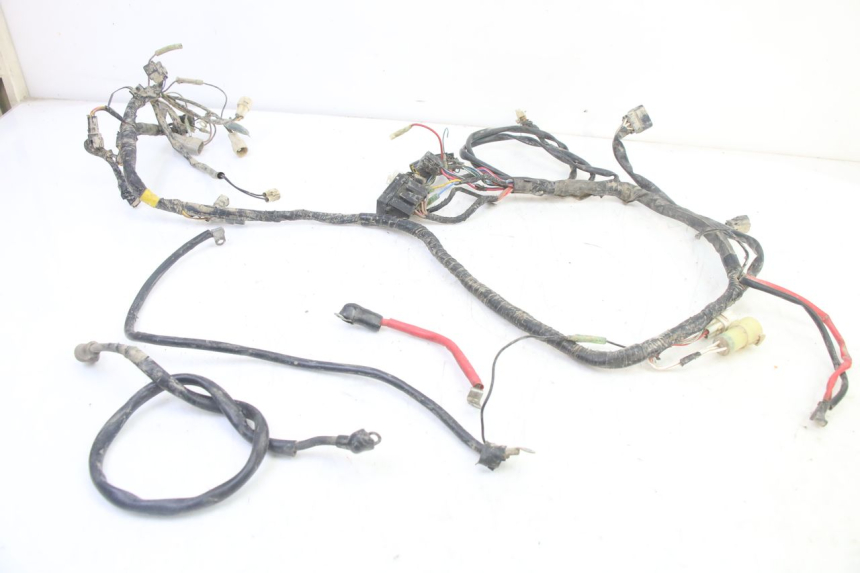 photo de FAISCEAU YAMAHA YFM BRUIN 350 (2003 - 2009)