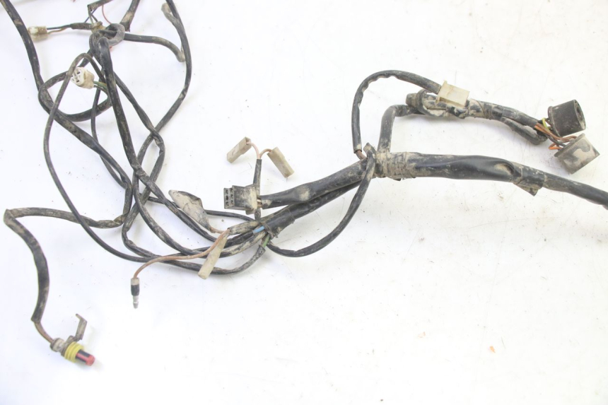 photo de FAISCEAU YAMAHA YFM BRUIN 350 (2003 - 2009)