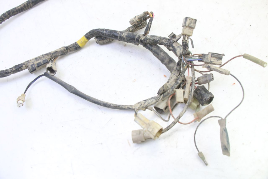 photo de FAISCEAU YAMAHA YFM BRUIN 350 (2003 - 2009)