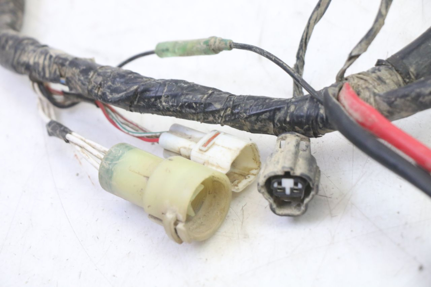 photo de FAISCEAU YAMAHA YFM BRUIN 350 (2003 - 2009)