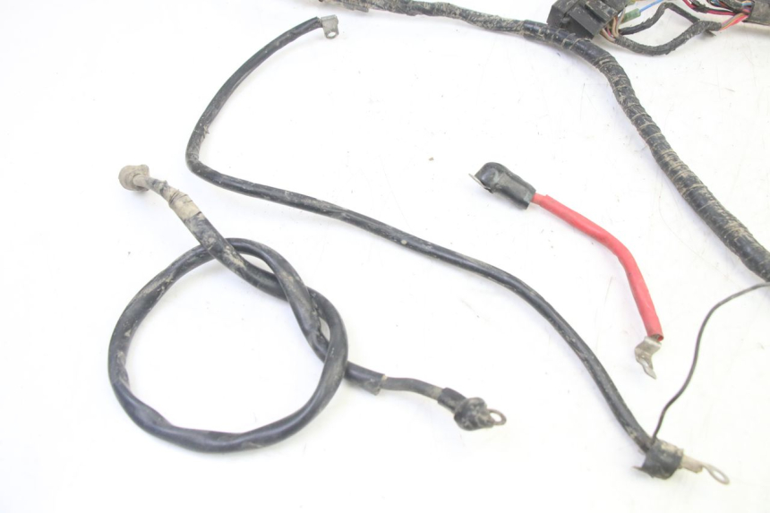 photo de FAISCEAU YAMAHA YFM BRUIN 350 (2003 - 2009)