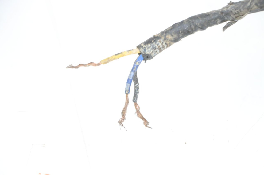 photo de FAISCEAU YAMAHA YFM R RAPTOR 250 (2008 - 2014)