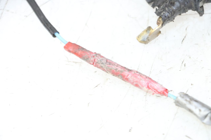 photo de FAISCEAU YAMAHA YFM R RAPTOR 250 (2008 - 2014)