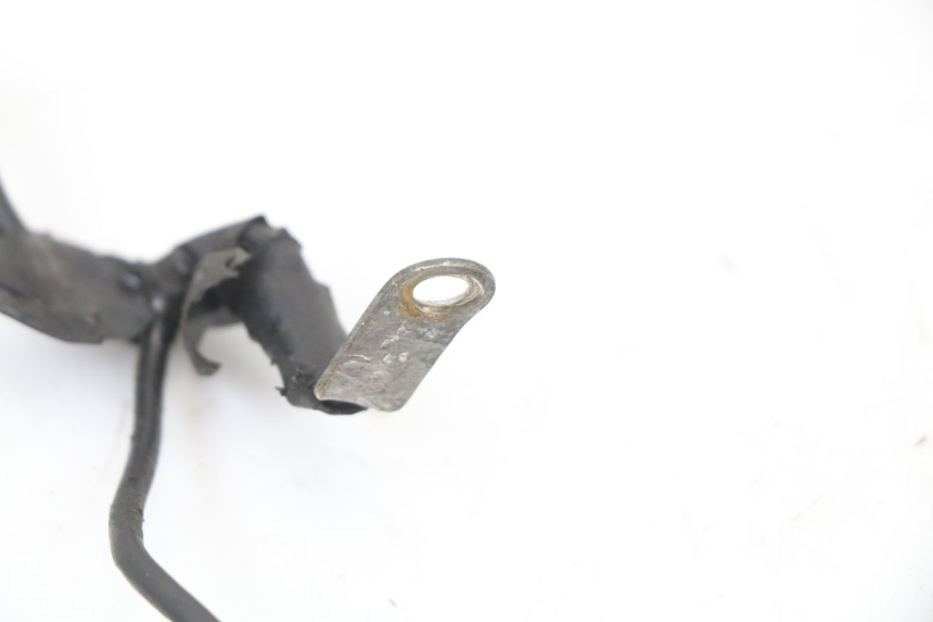 photo de FAISCEAU YAMAHA YP MAJESTY 125 (2002 - 2006)