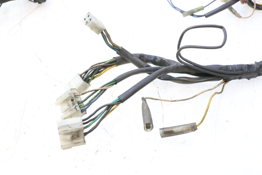 photo de FAISCEAU YAMAHA YP MAJESTY 125 (1998 - 2001) - Vue d’ensemble