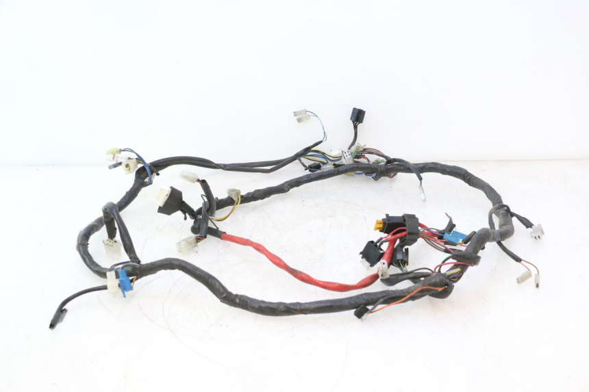 photo de FAISCEAU YAMAHA YP MAJESTY 125 (2007 - 2010) - Détails caractéristiques