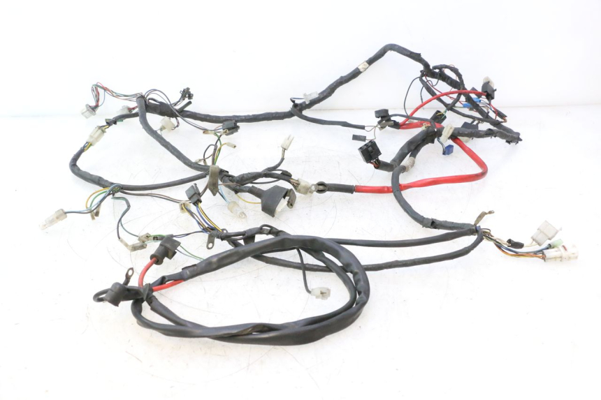 photo de FAISCEAU YAMAHA YP MAJESTY 125 (2002 - 2006) - Vue principale