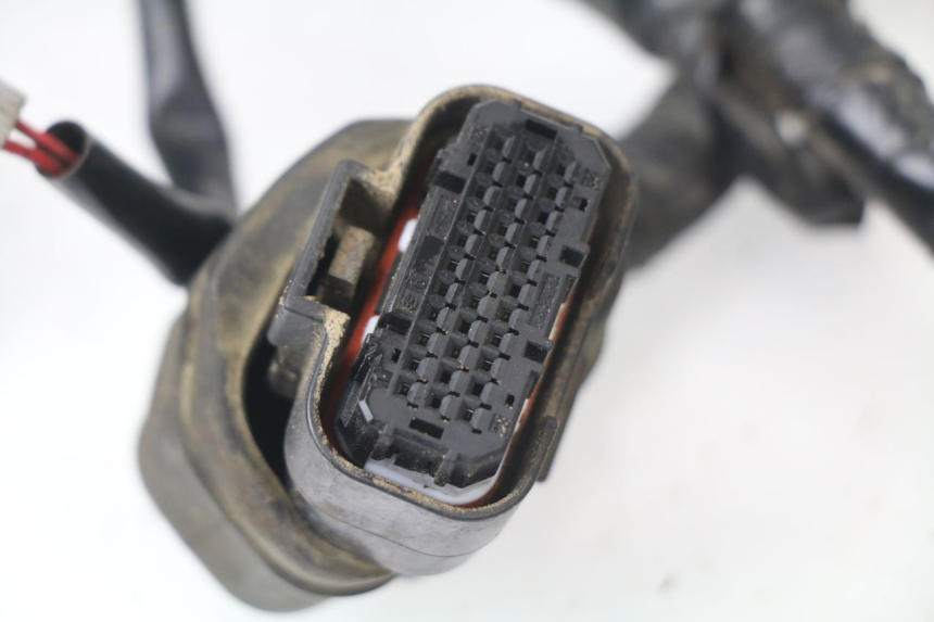 photo de FAISCEAU YAMAHA YZF YZ-F 450 (2018 - 2021)