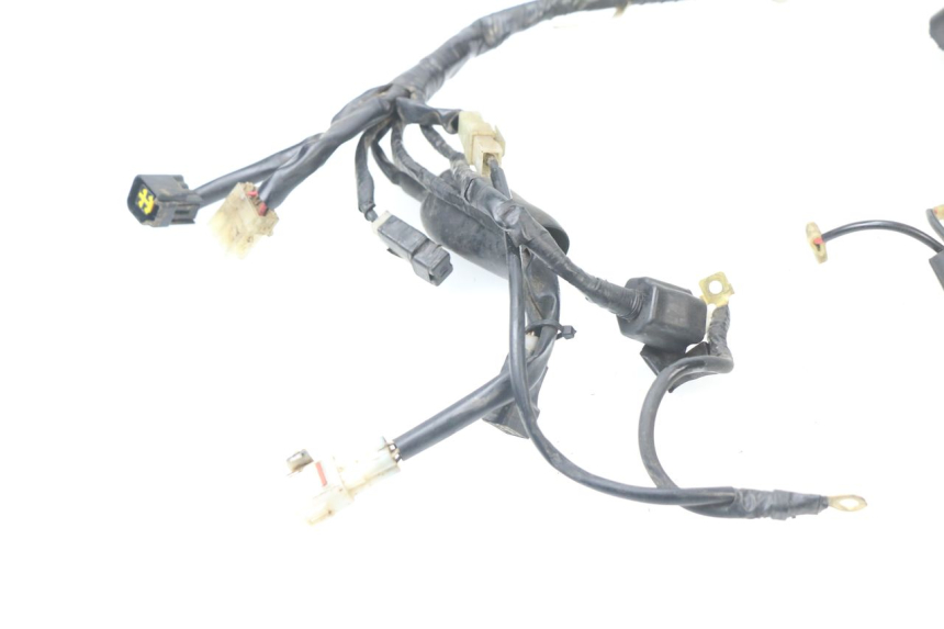 photo de FAISCEAU YAMAHA YZF YZ-F 450 (2018 - 2021)