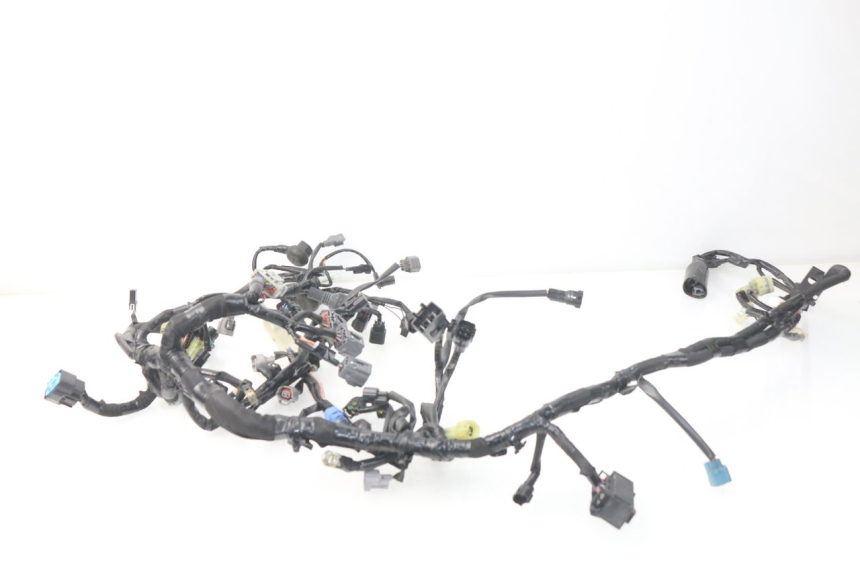 photo de FAISCEAU KAWASAKI Z Z900 900 (2017 - 2019)