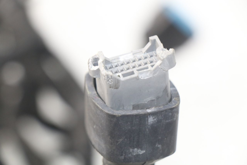photo de FAISCEAU KAWASAKI Z Z900 900 (2017 - 2019)