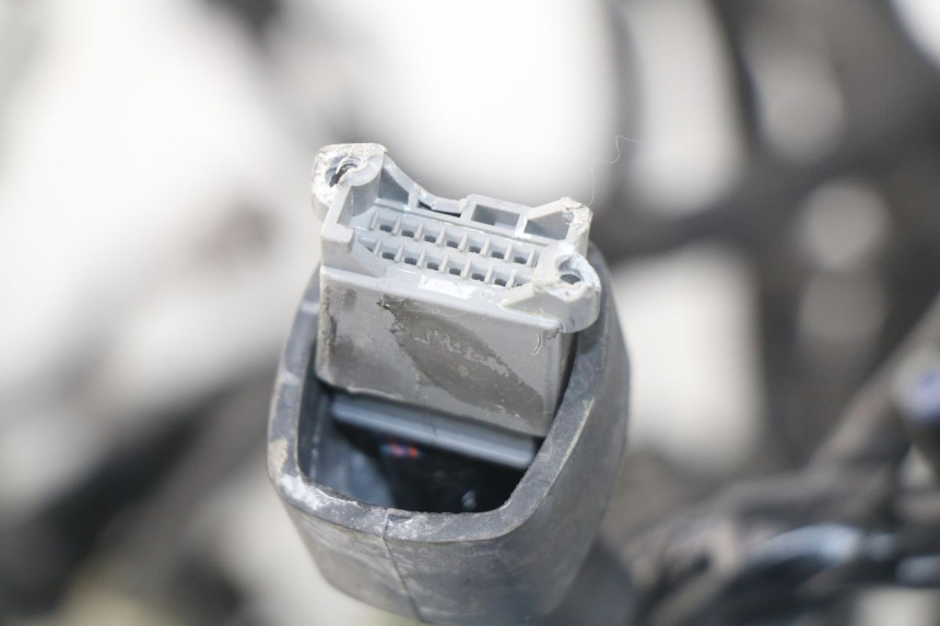 photo de FAISCEAU KAWASAKI Z Z900 900 (2017 - 2019)