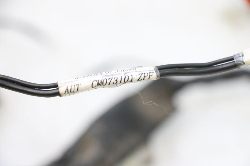 photo de FAISCEAU PIAGGIO ZIP 2T 50 (2009 - 2019) - Détail de la pièce