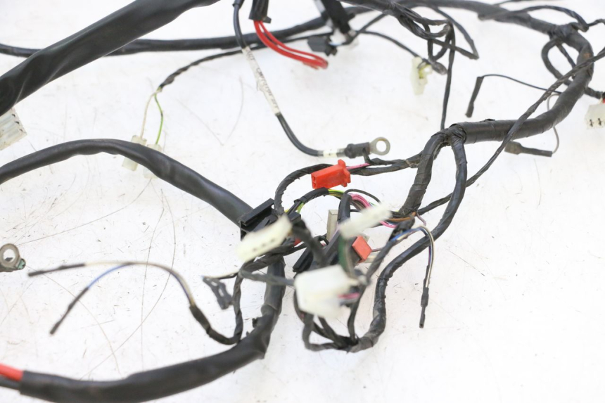 photo de FAISCEAU PIAGGIO ZIP 2T 50 (2009 - 2019) - Gros plan technique
