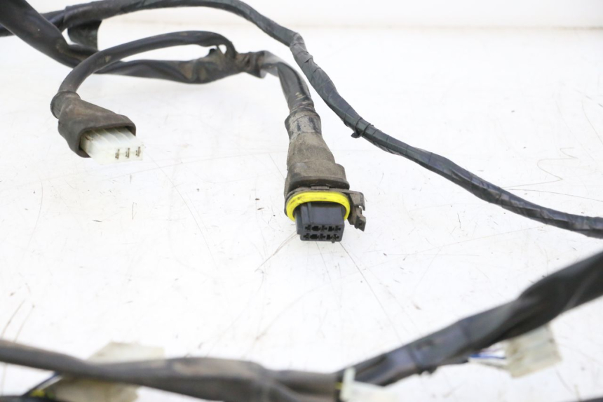 photo de FAISCEAU PIAGGIO ZIP 2T 50 (2009 - 2019) - Vue d’ensemble