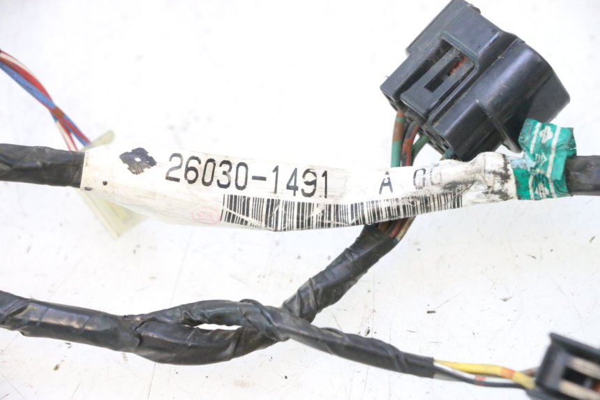 photo de FAISCEAU KAWASAKI ZZR 600 (1995 - 2004) - Vue rapprochée