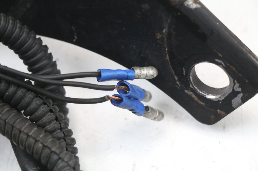 photo de FEU ARRIERE HARLEY DAVIDSON SPORTSTER XL CUSTOM 1200 (2003 - 2004)