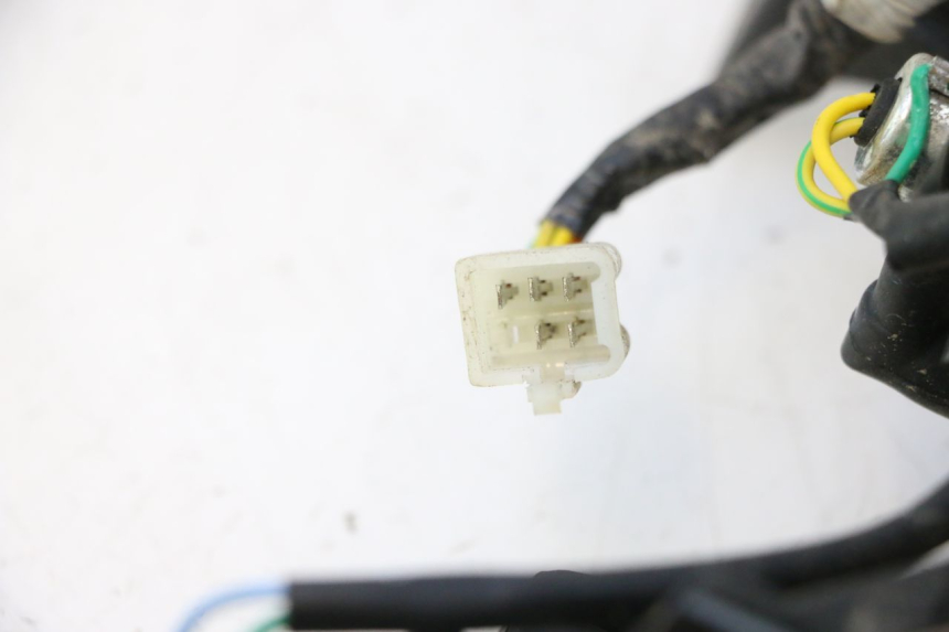photo de FEU ARRIERE PEUGEOT KISBEE 4T 50 (2018 - 2022) - Gros plan technique