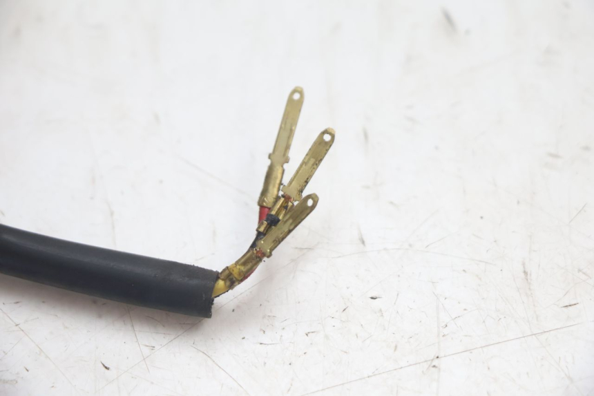 photo de FEU ARRIERE PEUGEOT LUDIX SNAKE 2T 50 (2004 - 2014) - Pièce contrôlée