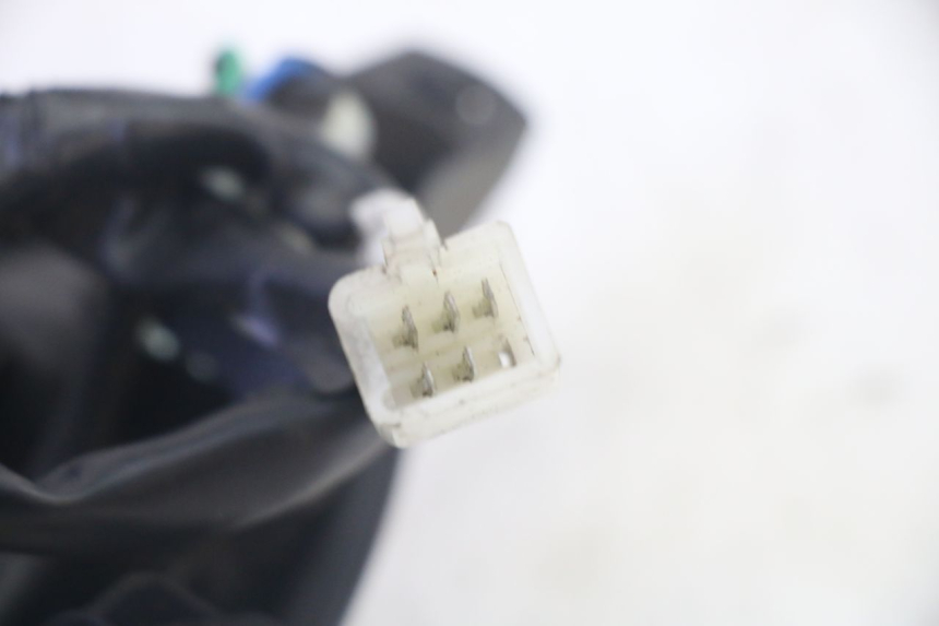 photo de FEU ARRIERE PEUGEOT TWEET PRO EFI 4T 50 (2021 - 2022)