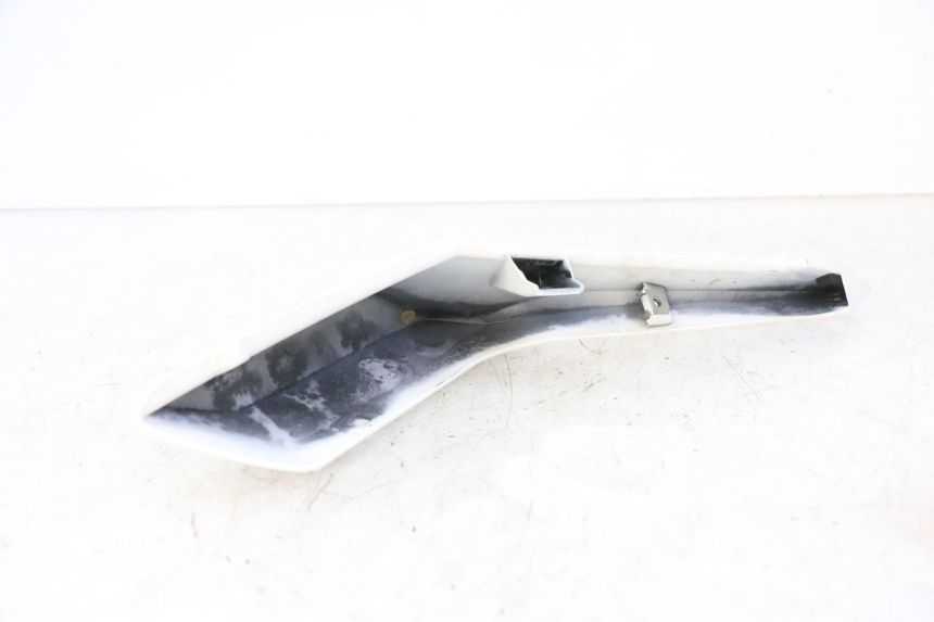 photo de FLANC ARRIERE DROIT BMW G310 R 310 (2016 - 2020)