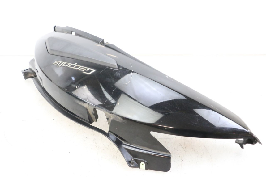photo de FLANC ARRIERE DROIT PEUGEOT GEOPOLIS RS 125 (2007 - 2009)