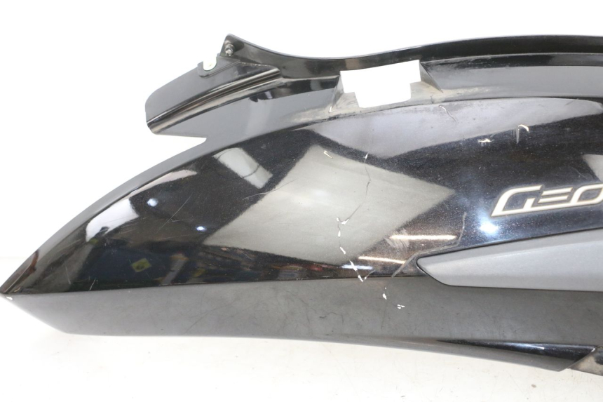 photo de FLANC ARRIERE DROIT PEUGEOT GEOPOLIS RS 125 (2007 - 2009)
