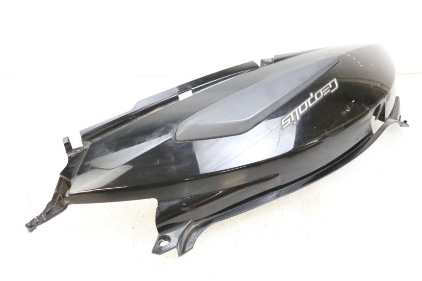 photo de FLANC ARRIERE DROIT PEUGEOT GEOPOLIS RS 125 (2007 - 2009)