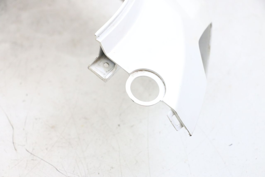 photo de FLANC ARRIERE DROIT PEUGEOT TWEET PRO EFI 4T 50 (2021 - 2022)