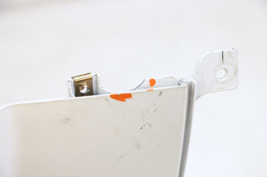 photo de FLANC ARRIERE DROIT PEUGEOT TWEET PRO EFI 4T 50 (2021 - 2022)