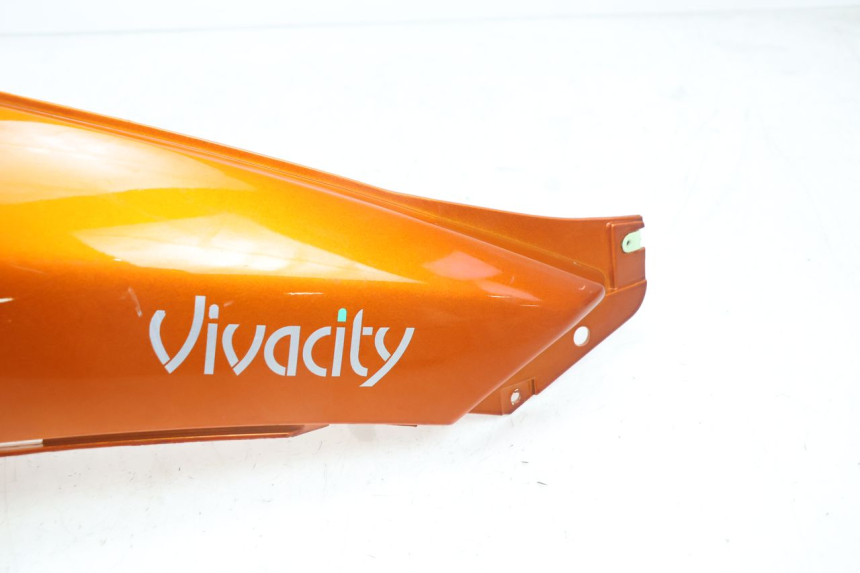 photo de FLANC ARRIERE DROIT PEUGEOT VIVACITY 50 (2004 - 2009) - Zoom état d’usage